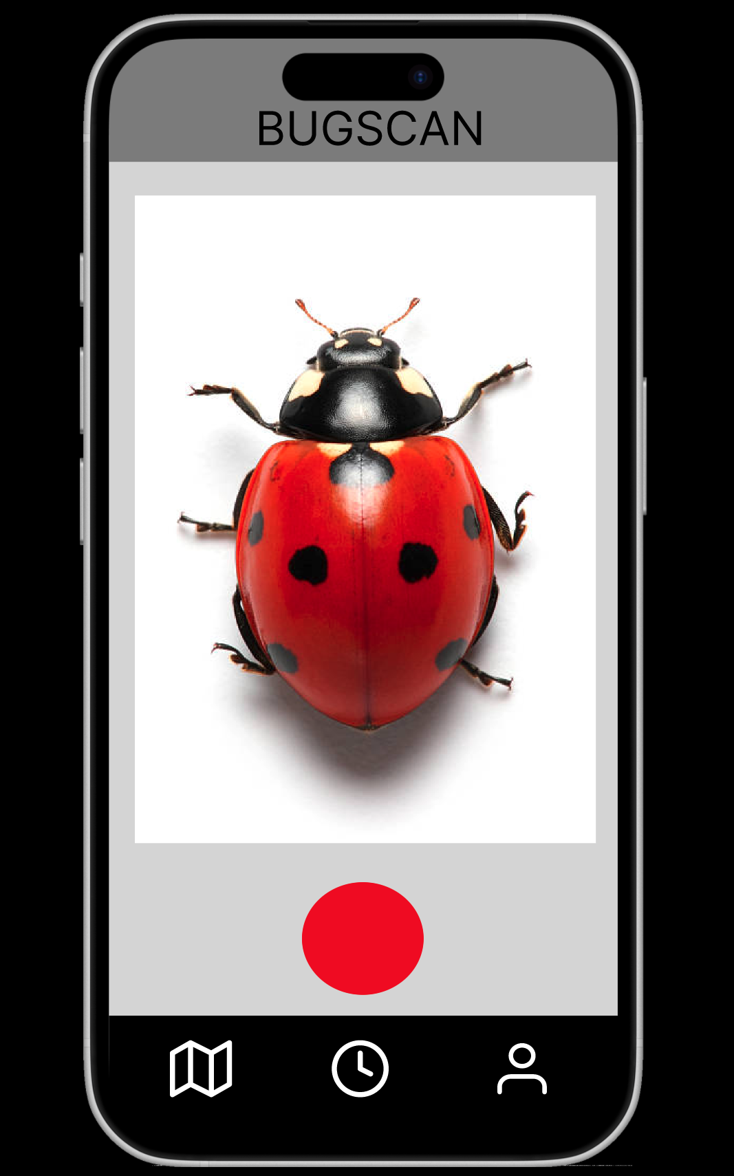 bug identifier app